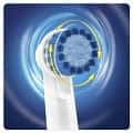 Oral B Genius 8000 und Genius 9000 von Braun kaufen - Test - Testsieger Oral B Genius 8000 und Genius 9000 von Braun kaufen - Test - Testsieger